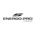 Black and Gold Flat Illustrative Real Estate Logo (2)